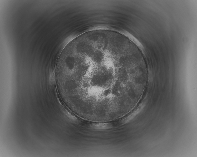 X0000111140953200907071046