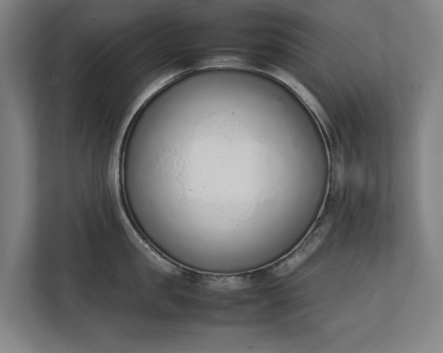 X0000111140957200907071046