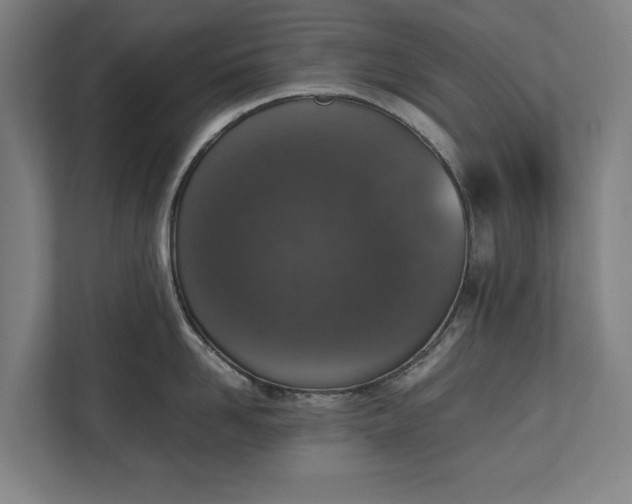 X0000111140958200907071046