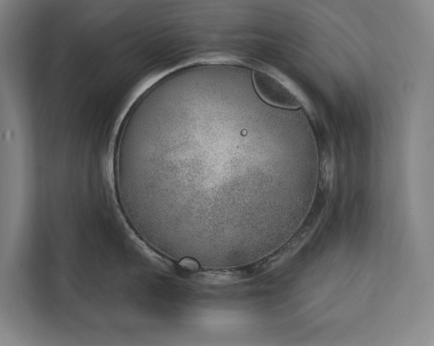 X0000111140959200907071046