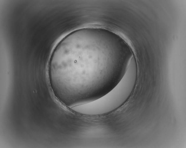 X0000111140960200907071046