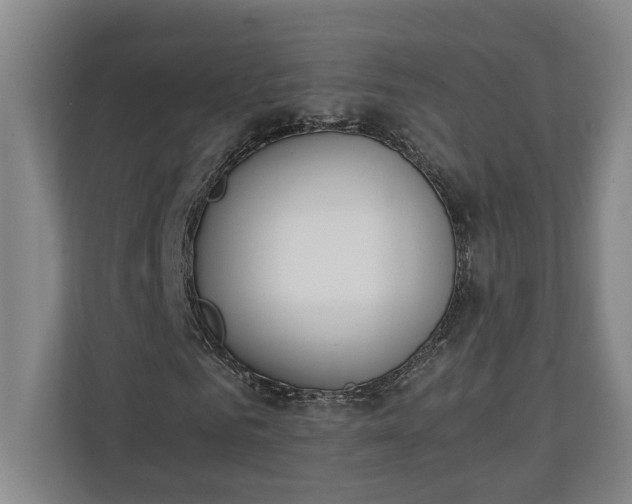 X0000111140961200907071046