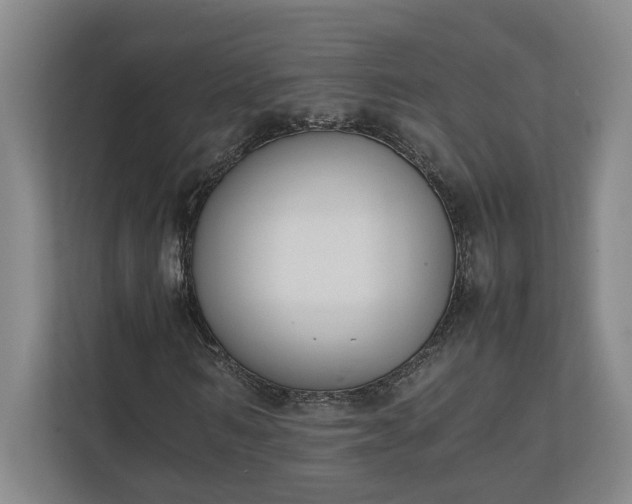 X0000111140962200907071046