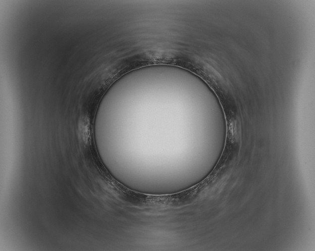 X0000111140963200907071046