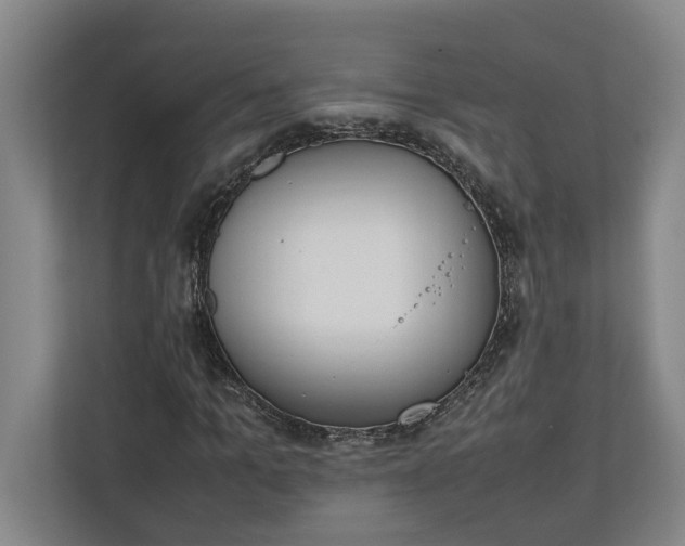 X0000111140965200907071046