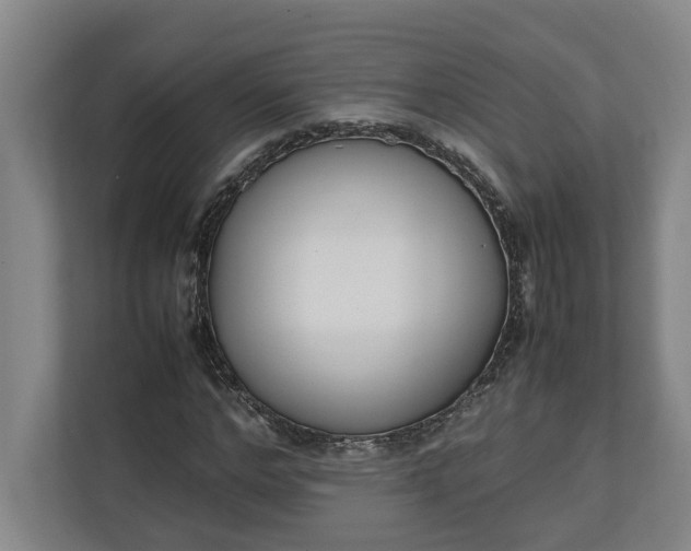 X0000111140968200907071045