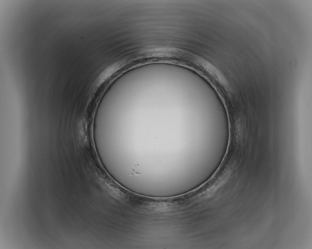 X0000111140970200907071045