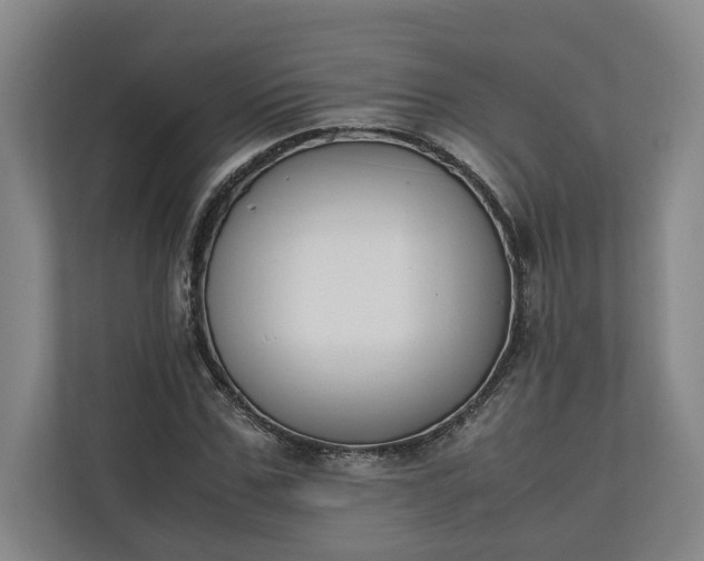 X0000111140971200907071045