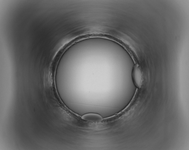 X0000111140973200907071045