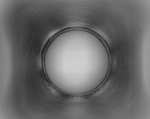 X0000111140974200907071045