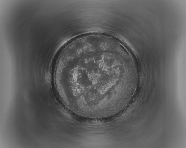 X0000111140975200907071045