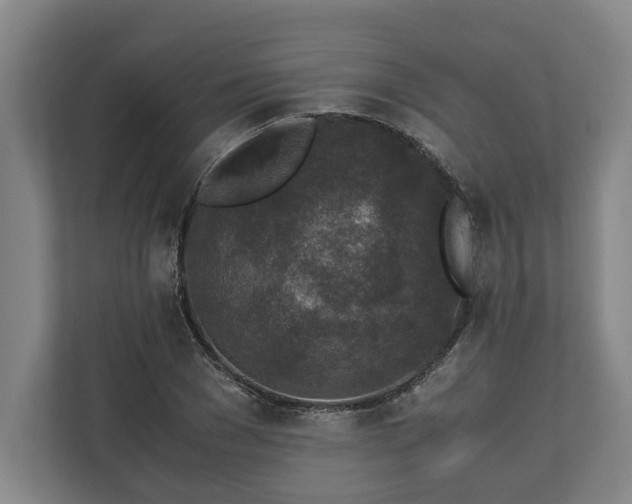 X0000111140977200907071045