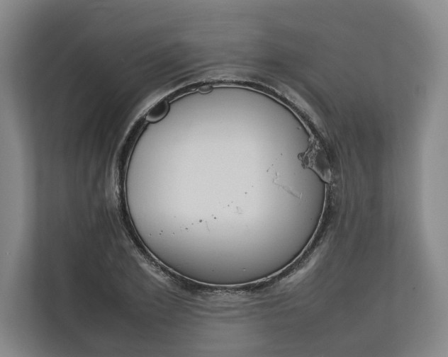 X0000111140981200907071045