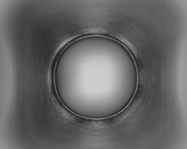 X0000111140983200907071045