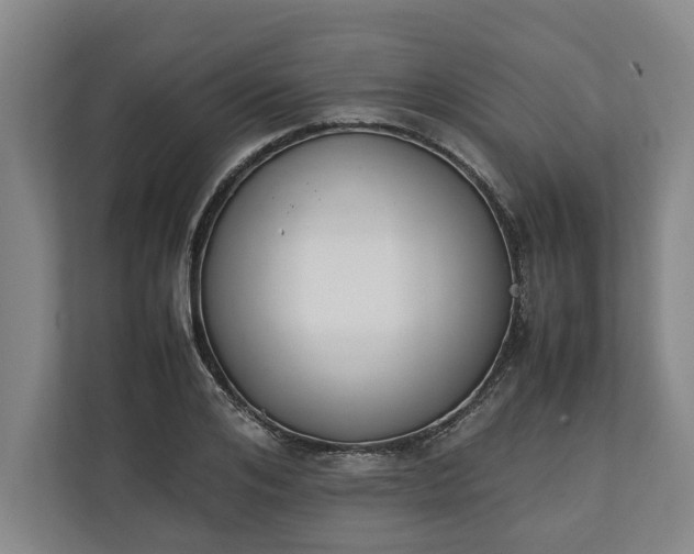 X0000111140984200907071045