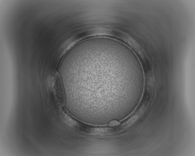 X0000111140985200907071045