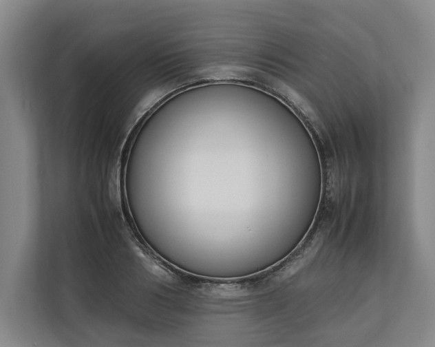 X0000111140986200907071045