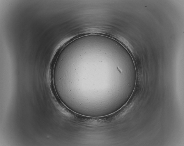 X0000111140987200907071045