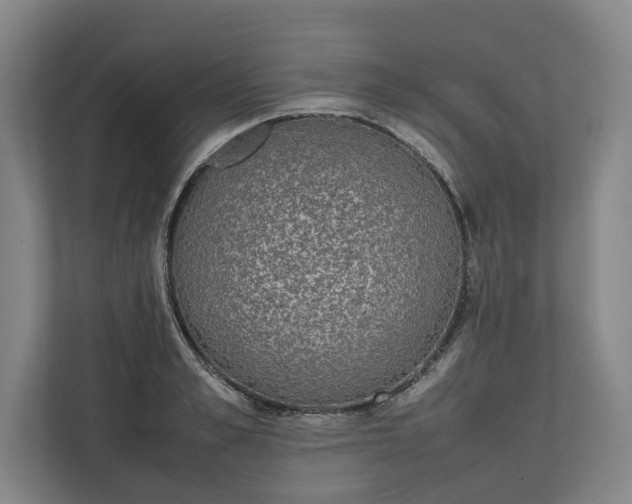 X0000111140989200907071045