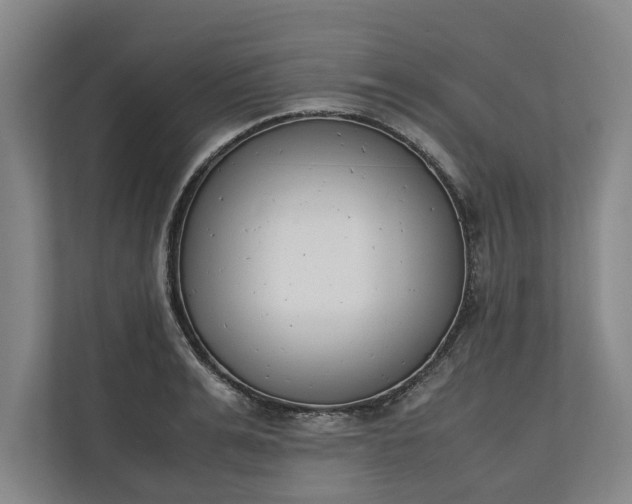 X0000111140991200907071045