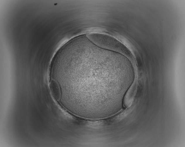 X0000111140997200907071045