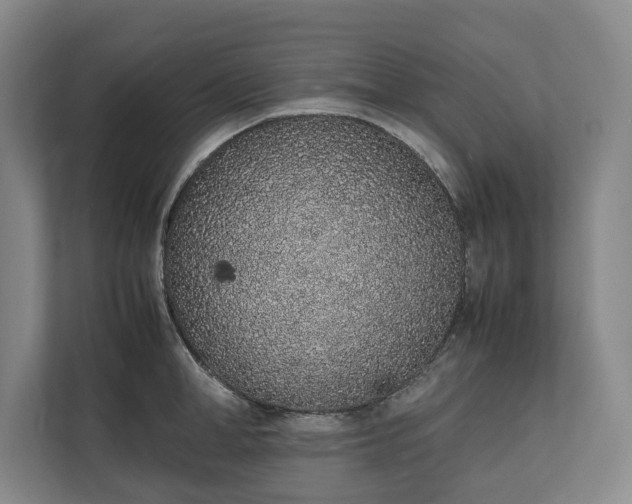 X0000111140998200907071045