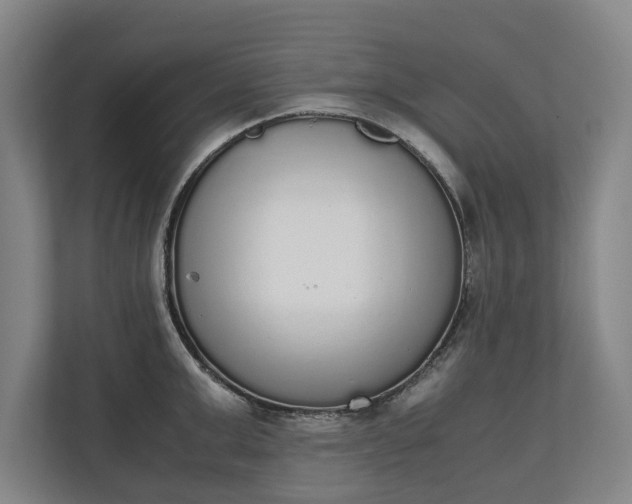 X0000111140999200907071045