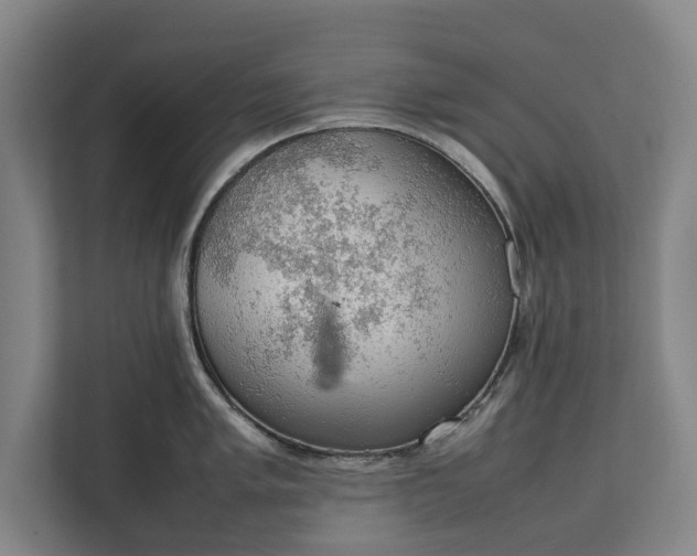 X0000111141005200907071045