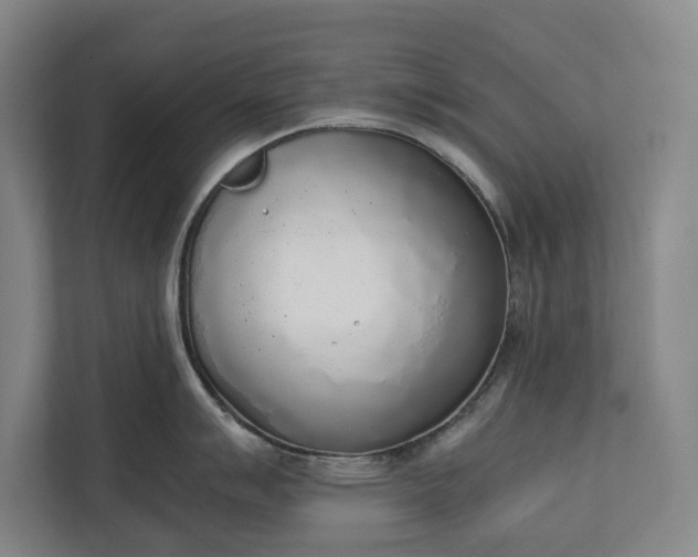 X0000111141007200907071045