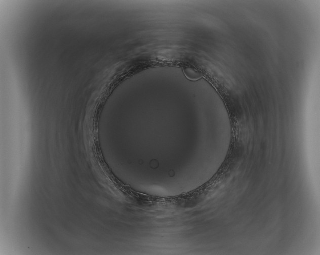 X0000111141009200907071044