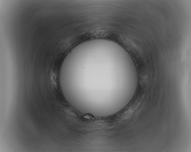 X0000111141010200907071044