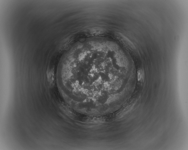 X0000111141011200907071044