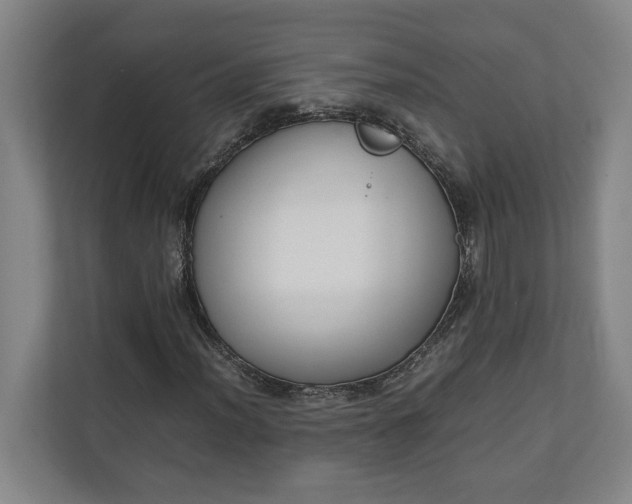 X0000111141012200907071044