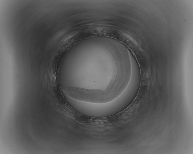 X0000111141013200907071044