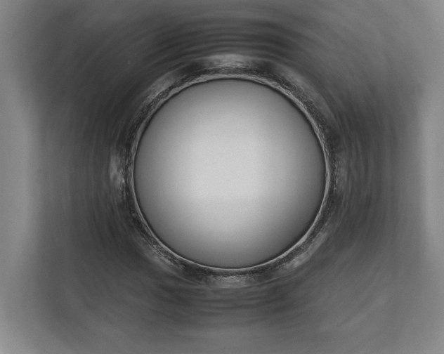 X0000111141017200907071044