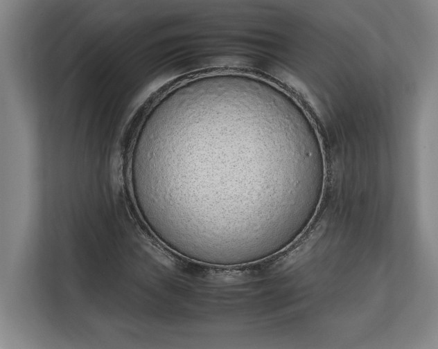 X0000111141019200907071044