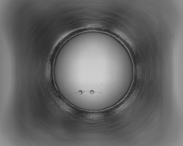 X0000111141021200907071044