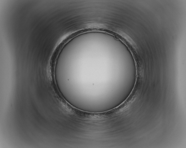 X0000111141022200907071044