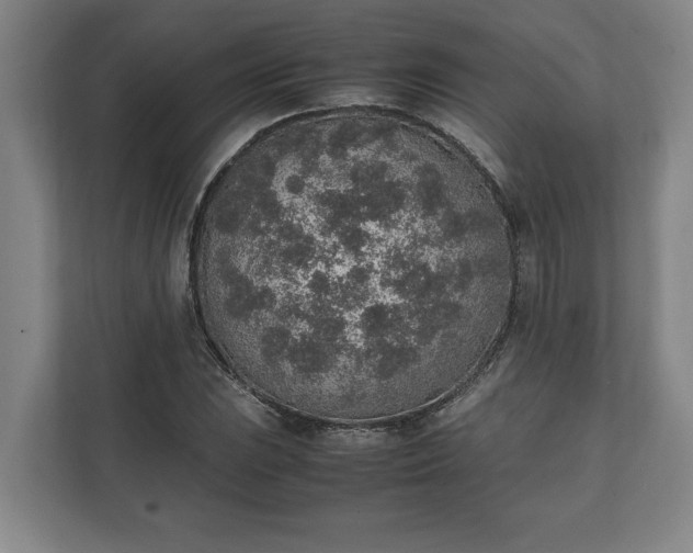 X0000111141023200907071045