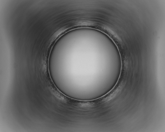 X0000111141025200907071045