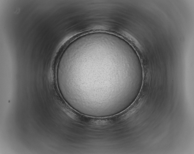 X0000111141027200907071045