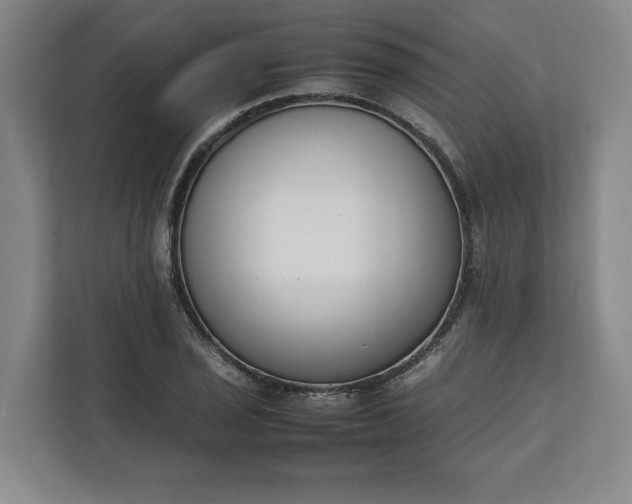 X0000111141029200907071045