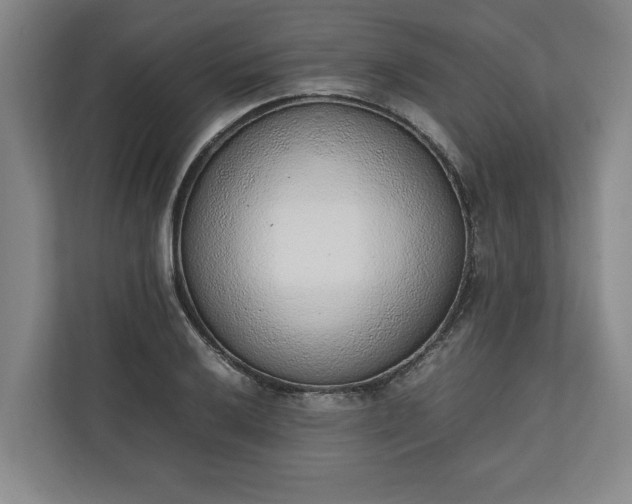 X0000111141032200907071045