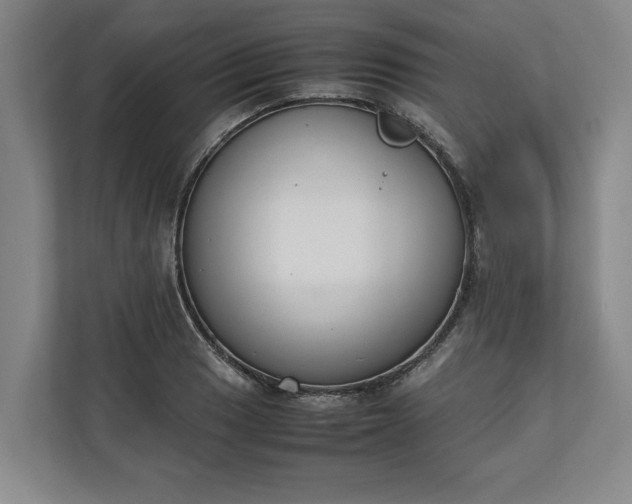 X0000111141033200907071045