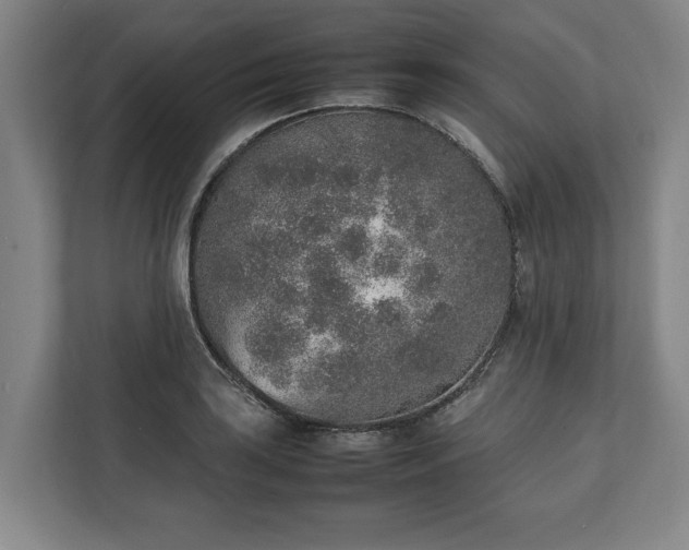 X0000111141035200907071045