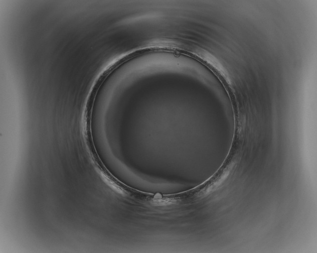 X0000111141037200907071045