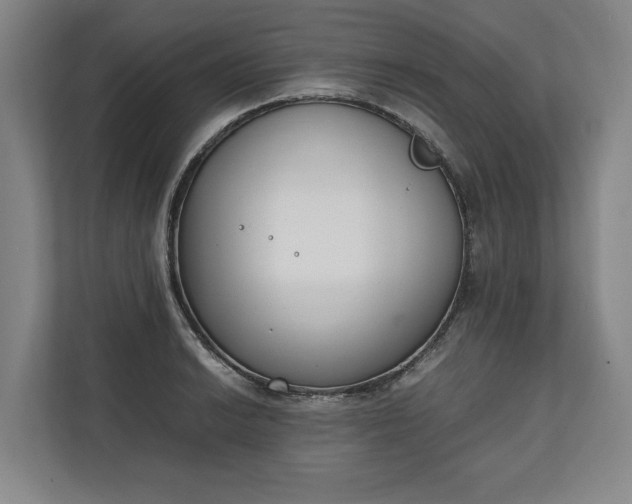 X0000111141038200907071045