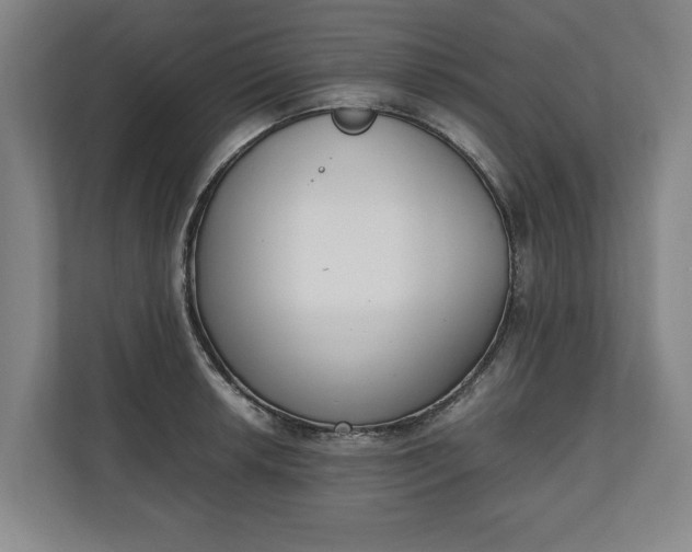 X0000111141042200907071045