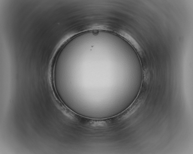 X0000111141043200907071045