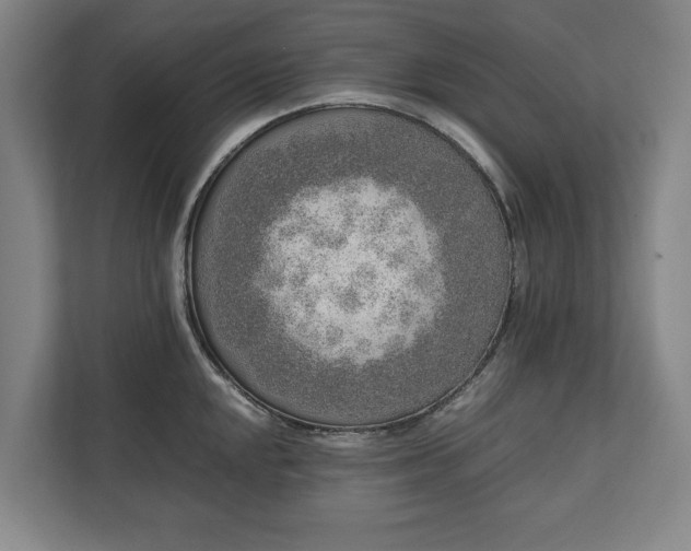 X0000111141048200907071045